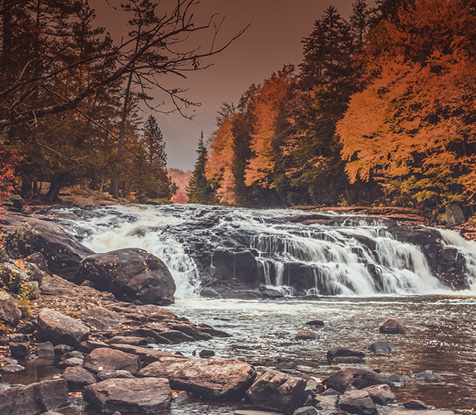 Fall Hunting Guide Main Mobile Image