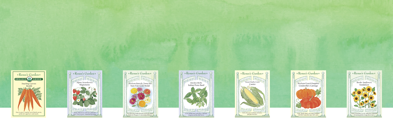 We have garden seeds!