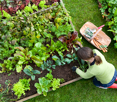 category block image