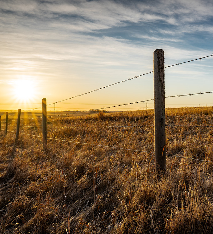 category block image